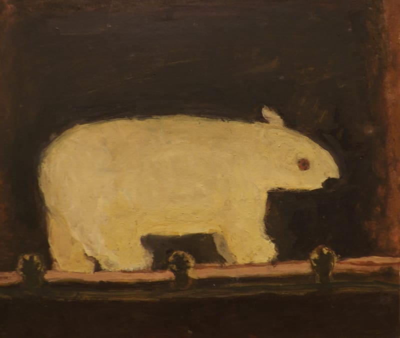 Polo the Polar Bear