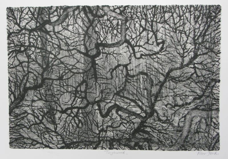 Tangle Wood