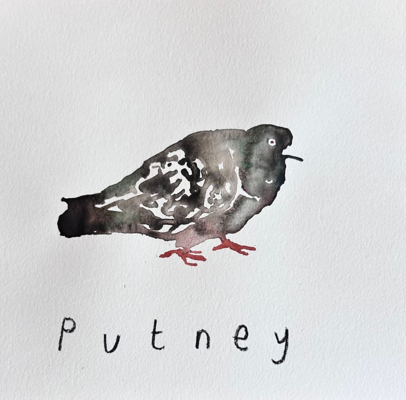 Putney Pigeon