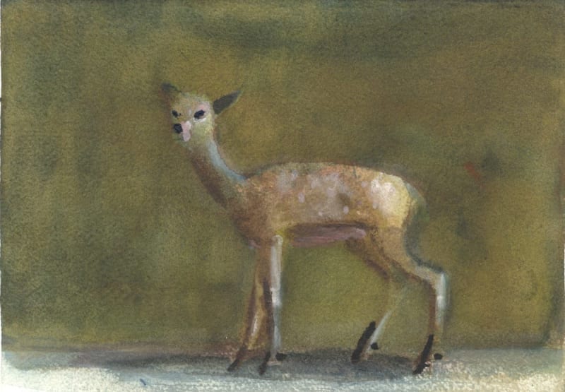 Malcolm's Doe
