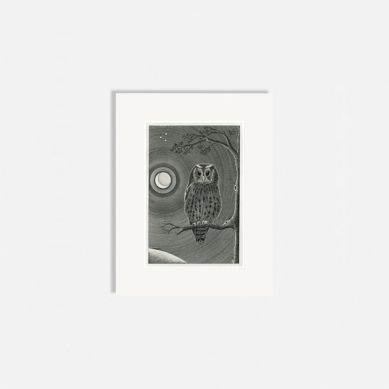 Brian Hanscomb RE, The Bird of Night
