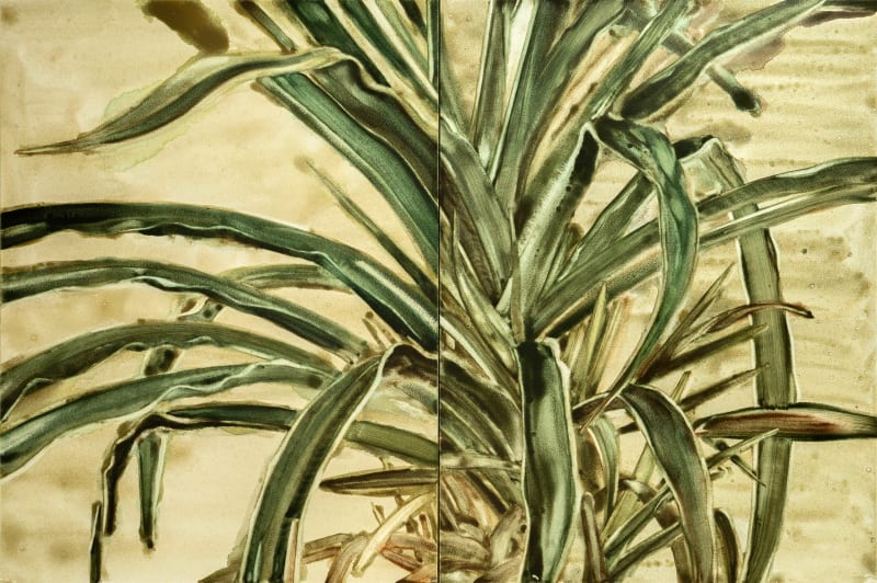 Interior with Plant, after Lucian Freud