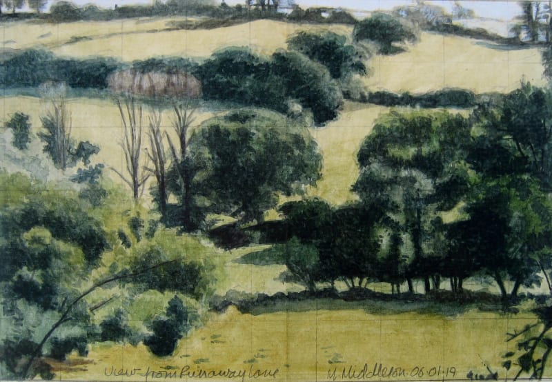 View from Runaway Lane