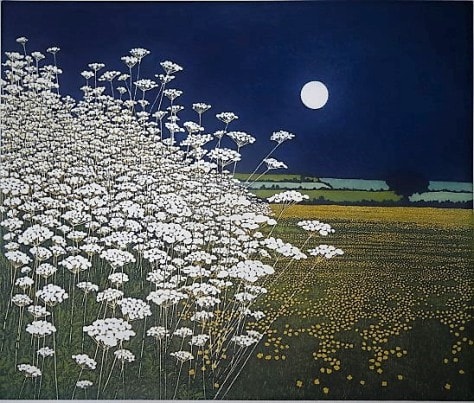 Moon Lights