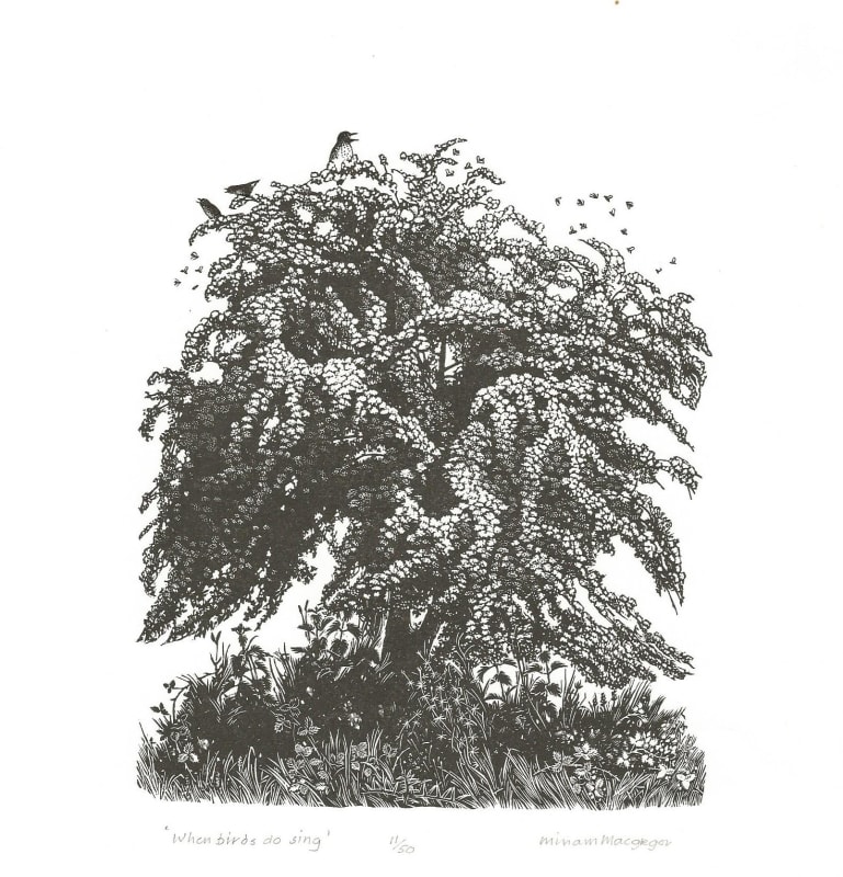 When Birds Do Sing
