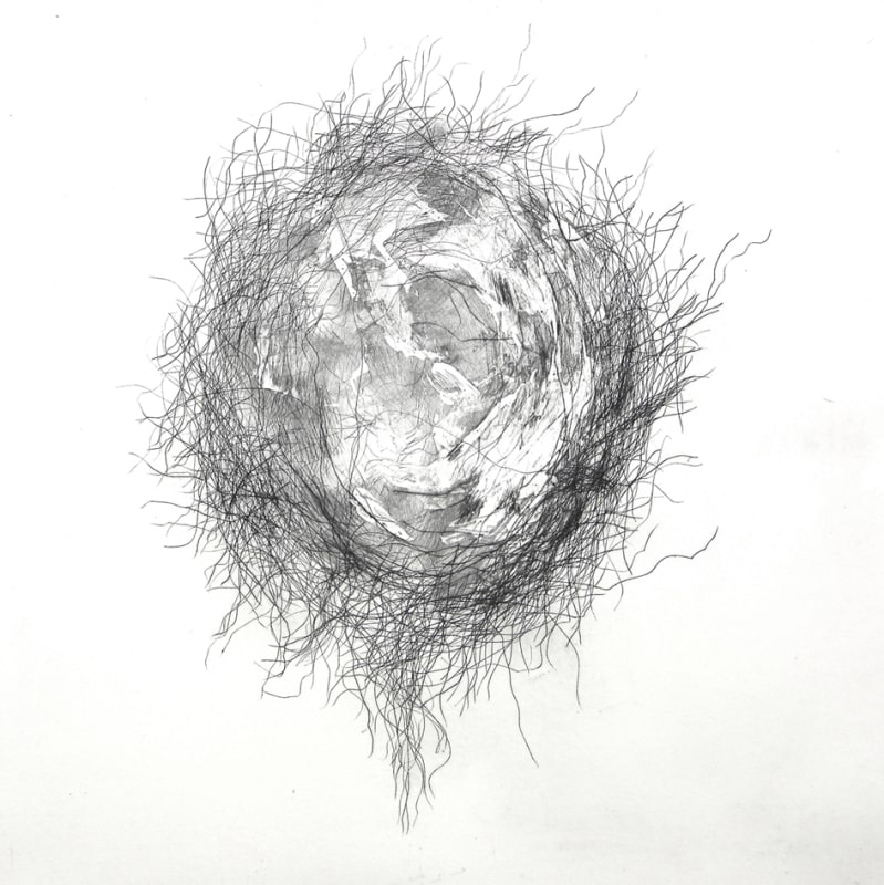 Feathered Nest 1