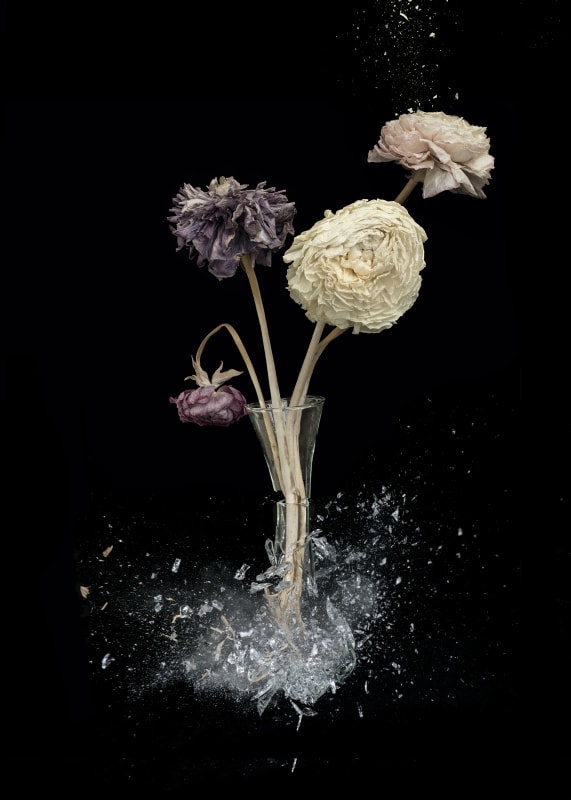 Vanitas XIV