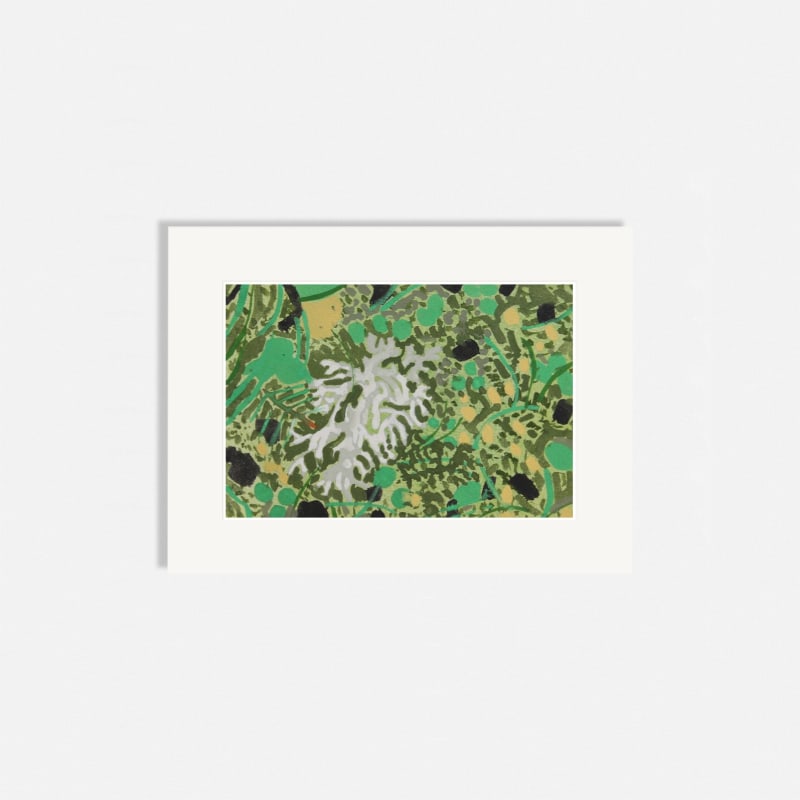 Chloe Fremantle RWS, Lichen