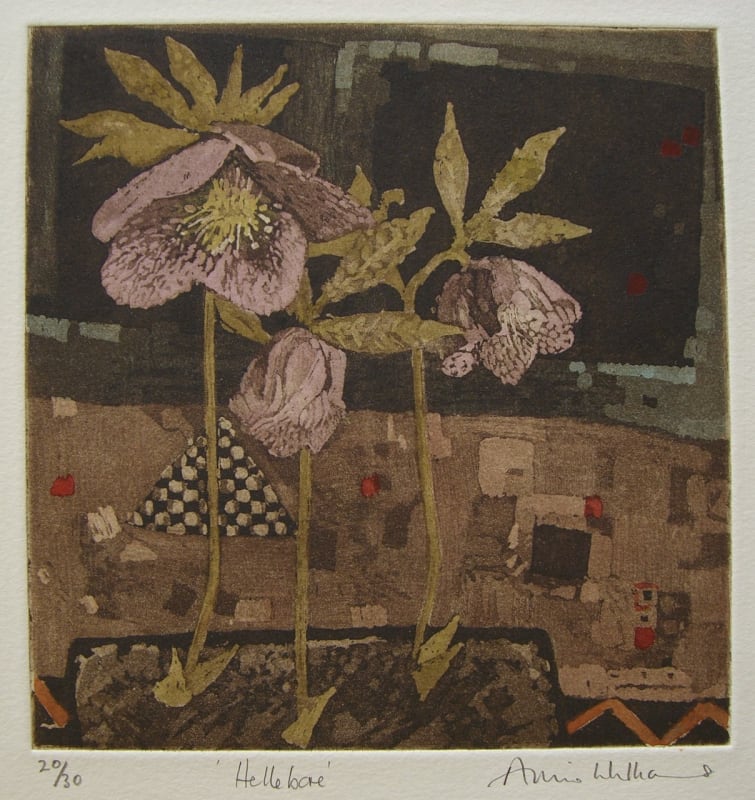 Hellebore
