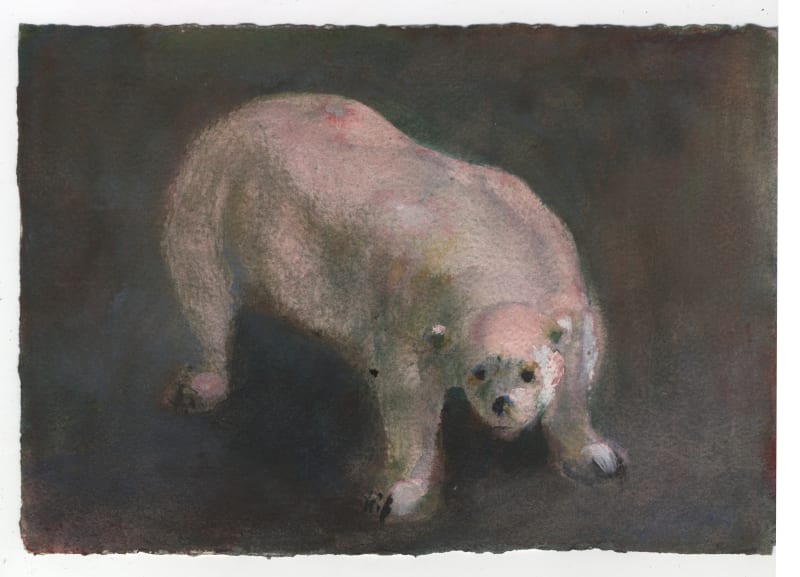 Pink Bear