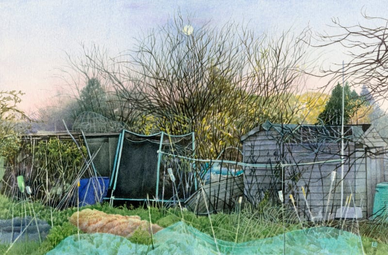 Winter, Late Afternoon at the Allotments
