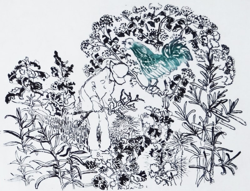 Organic Garden