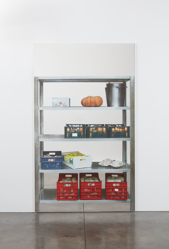 Michelangelo Pistoletto Scaffali Simon Lee