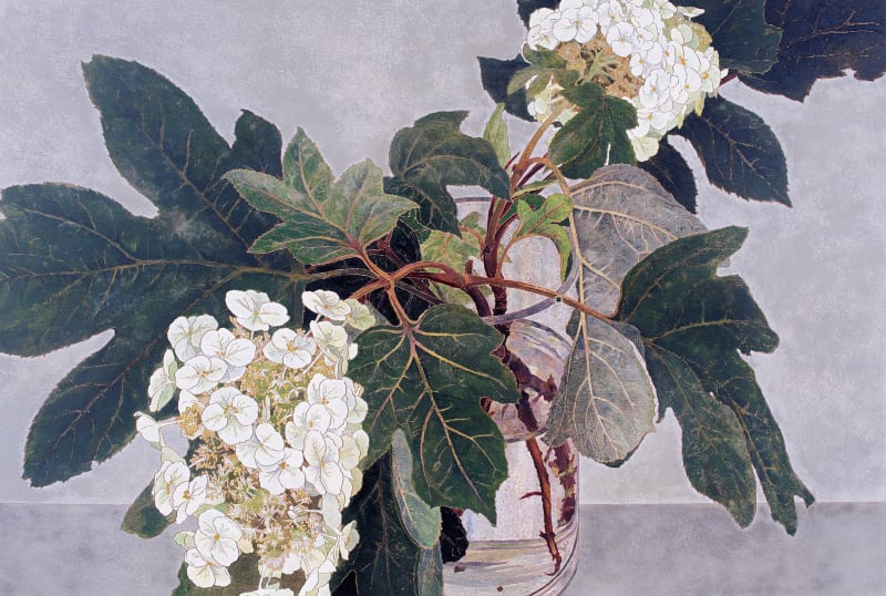 Cressida Campbell Simon Lee