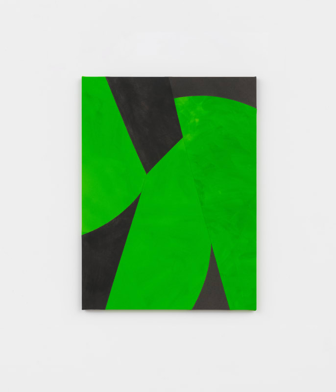 Artwork: Sarah Crowner, Green Wings, Evening Light, 2019