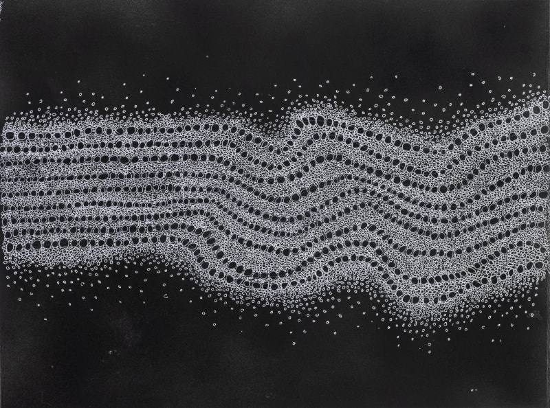 Jacqueline Duncan  Cellular 1, 2024  ink on paper  £650