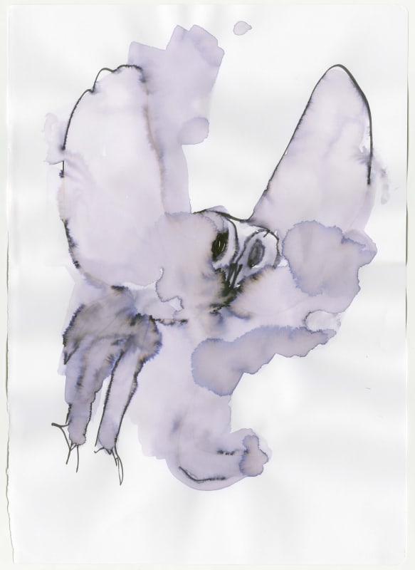 Dream Owls #7, 2019  £2160