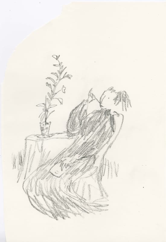 In Praise of Potted Plants #12, 2019  £1200