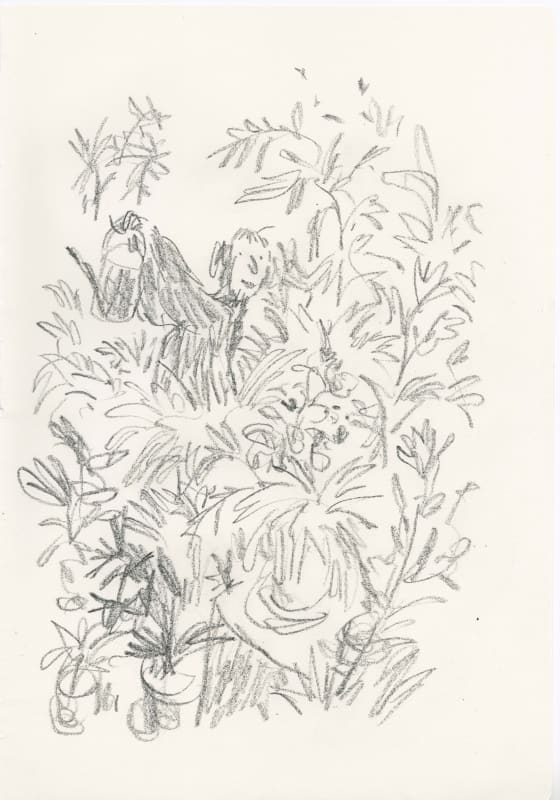 In Praise of Potted Plants #16, 2019  SOLD