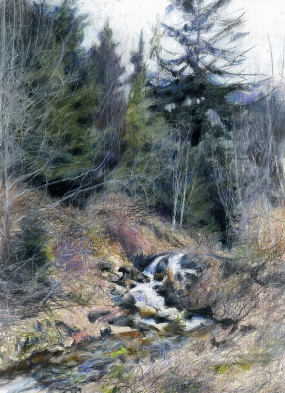 Olga Babich  Forest  pencil on paper
