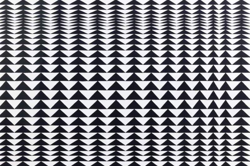 Bridget Riley