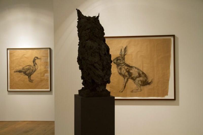 Nicola Hicks Flowers Gallery