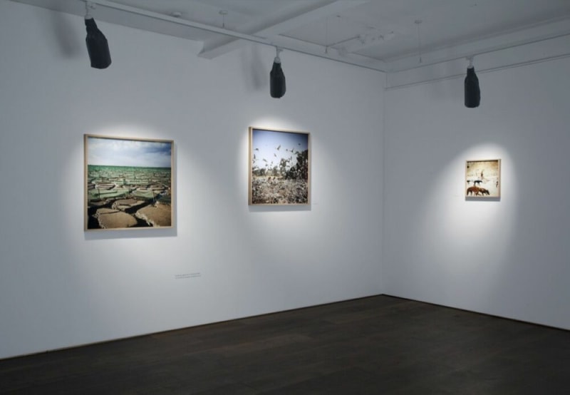 Jason Larkin Tales from the City of Gold