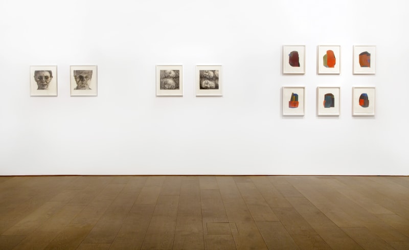 Freya Payne: Slip 10 September - 12 October 2013