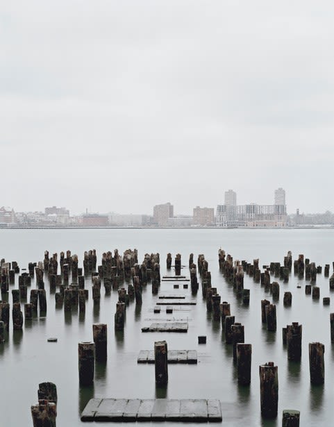 Janelle Lynch featured in Order/Reorder: Experiments with Collections