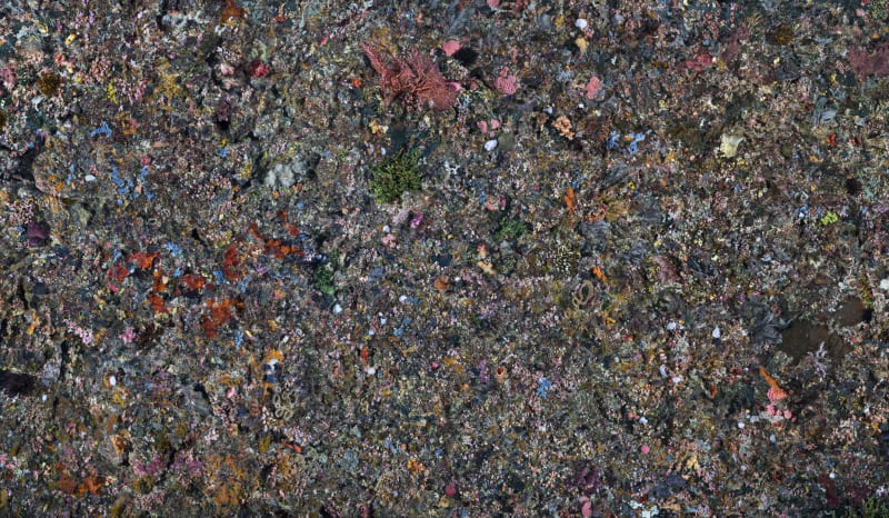 Edward Burtynsky featured in The British Journal of Photography