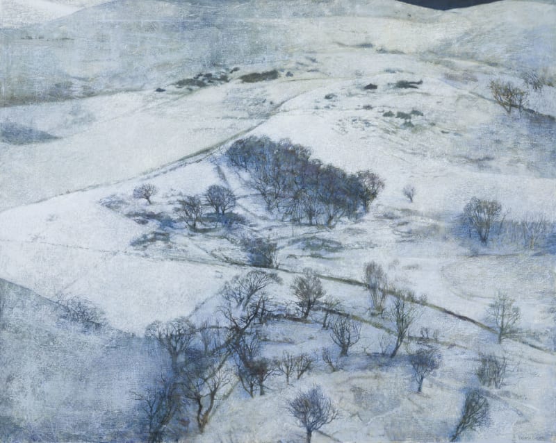 Victoria Crowe featured in the Mayfair Times