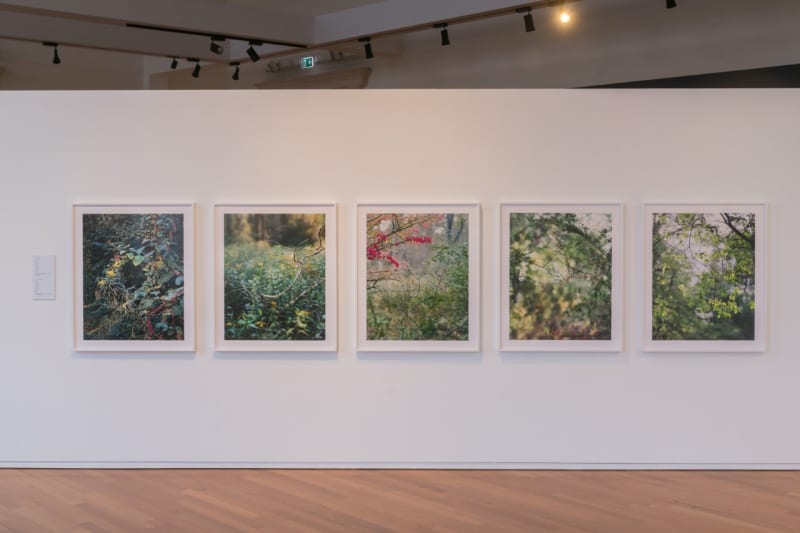 Prix Pictet's touring exhibition Hope featuring works by Janelle Lynch