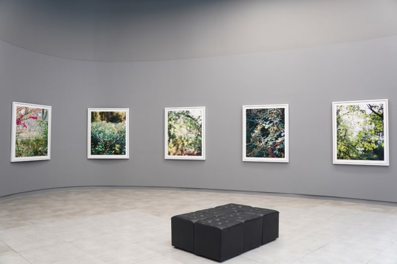 Prix Pictet's touring exhibition Hope featuring works by Janelle Lynch