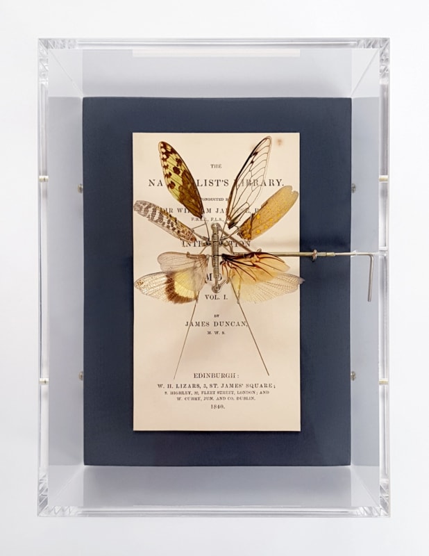 Jane Edden featured in Art Within Reach