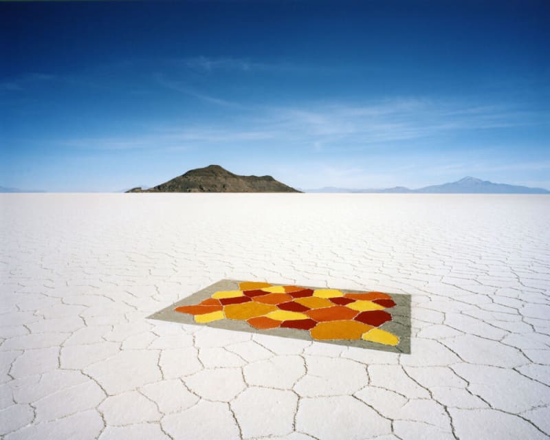 Scarlett Hooft Graafland 'Discovery' Private View