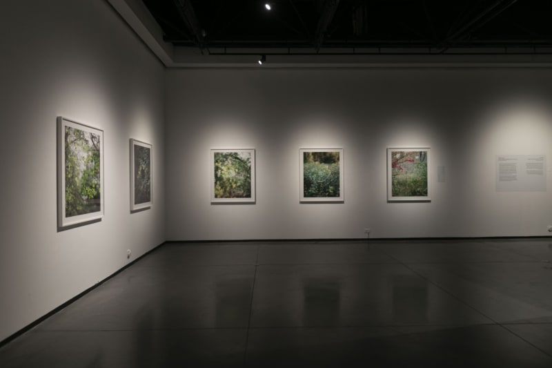 Prix Pictet's touring exhibition Hope featuring works by Janelle Lynch Prix Pictet's touring exhibition Hope featuring works by Janelle Lynch