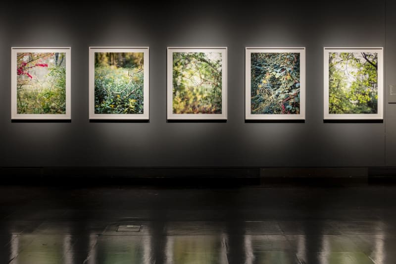 Prix Pictet's touring exhibition Hope featuring works by Janelle Lynch Prix Pictet's touring exhibition Hope featuring works by Janelle Lynch