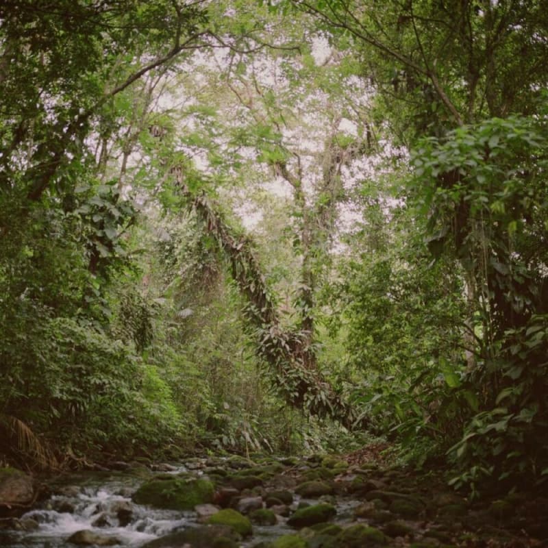 Mona Kuhn exhibition featured on Le Journal de La Photographie