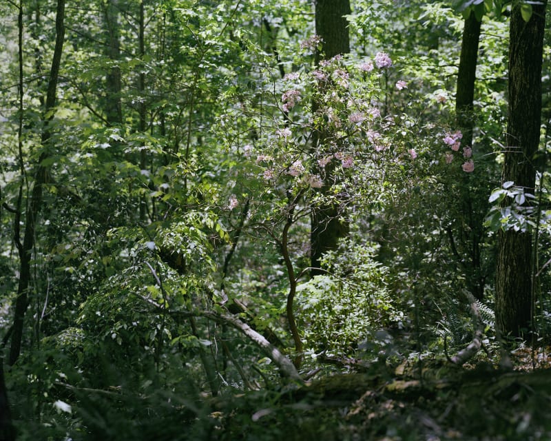 Now Representing Janelle Lynch