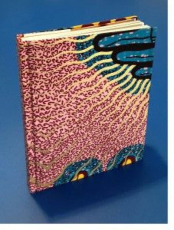 Lorenzo Vitturi featured on Little Brown Mushroom blog