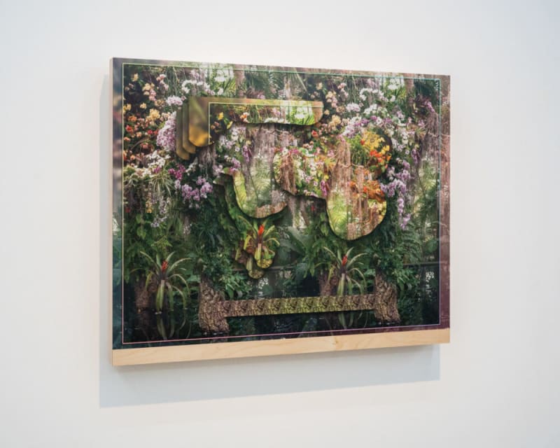 Opening Reception - No Lemon No Melon