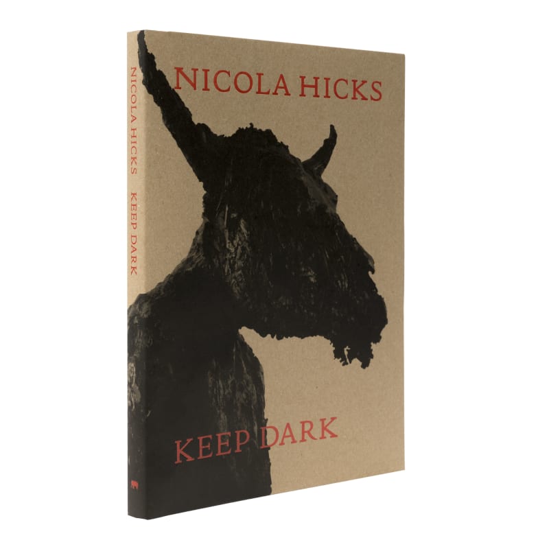 Keep Dark Nicola Hicks