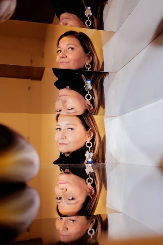 Link to Sylvie Fleury