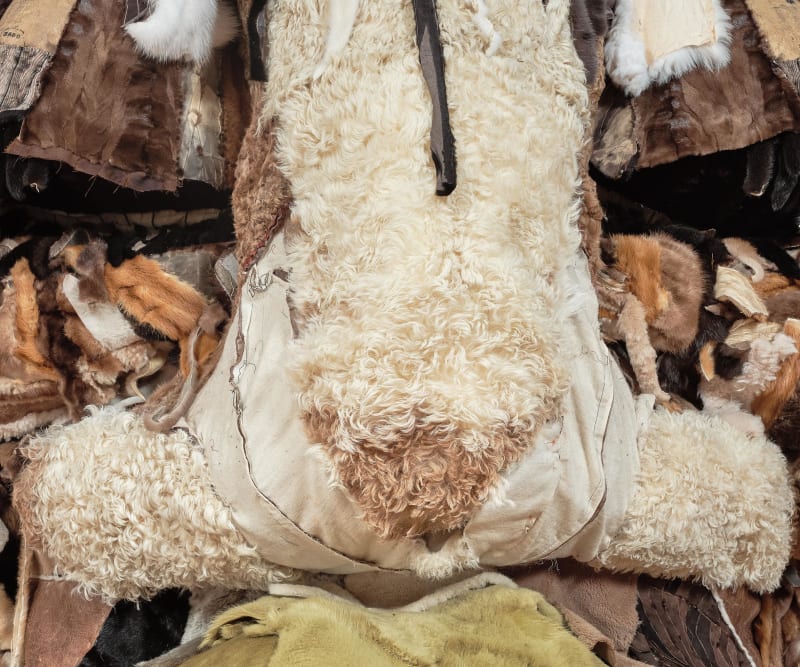 And the Golden Lion Goes To…: Our Predictions for the Venice Biennale’s Award Winners