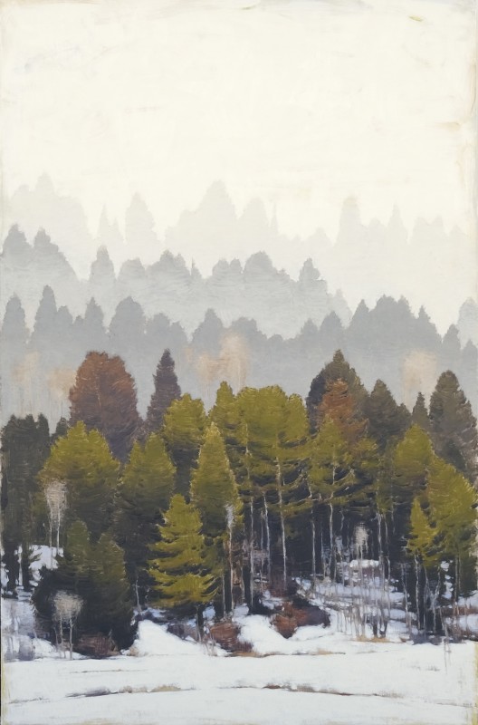 Jared Sanders, Forest