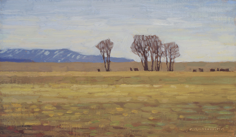 David Grossmann, Early Spring in Buena Vista