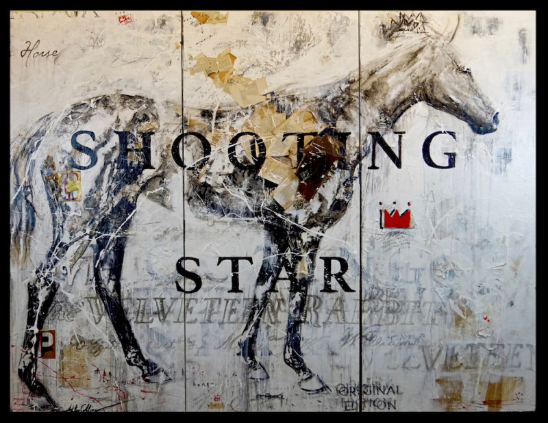 Ashley Collins, Shooting Star