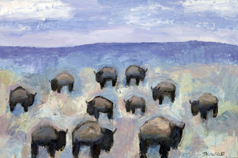 Theodore Waddell, Clark Canyon Buffalo #4