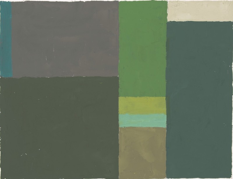 David Michael Slonim, Woodsy