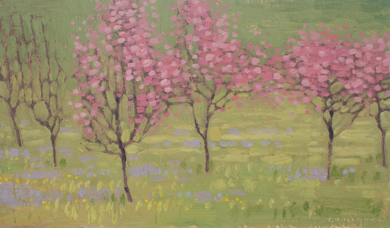 David Grossmann, Pink Spring Flowers